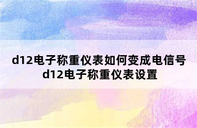 d12电子称重仪表如何变成电信号 d12电子称重仪表设置